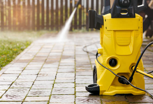 Best Roof Cleaning and Mildew Removal in Orleans, IN
